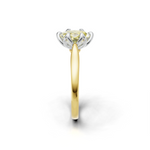 tulips1_shank-yellow_head-white_center-yellow__view-03.png
