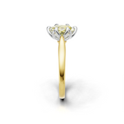 tulips1_shank-yellow_head-white_center-yellow__view-03.png
