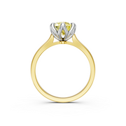 tulips1_shank-yellow_head-white_center-yellow__view-04.png
