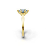 tulips1_shank-yellow_head-yellow_center-blue__view-03.png