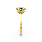 tulips1_shank-yellow_head-yellow_center-blue__view-03.png