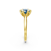 tulips1_shank-yellow_head-yellow_center-blue__view-03.png