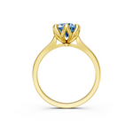 tulips1_shank-yellow_head-yellow_center-blue__view-04.png