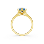 tulips1_shank-yellow_head-yellow_center-blue__view-04.png