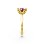 tulips1_shank-yellow_head-yellow_center-pink__view-03.png