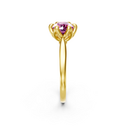 tulips1_shank-yellow_head-yellow_center-pink__view-03.png