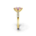 tulips1_shank-yellow_head-yellow_center-pink__view-03.png
