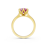 tulips1_shank-yellow_head-yellow_center-pink__view-04.png