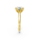 tulips1_shank-yellow_head-yellow_center-white__view-03.png