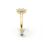 tulips1_shank-yellow_head-yellow_center-white__view-03.png