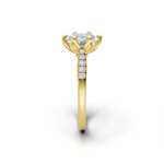 tulips1_shank-yellow_head-yellow_center-white__view-03.png