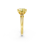 tulips1_shank-yellow_head-yellow_center-yellow__view-03.png