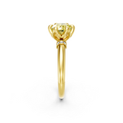 tulips1_shank-yellow_head-yellow_center-yellow__view-03.png