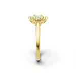 tulips1_shank-yellow_head-yellow_center-yellow__view-03.png
