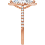 Aurivelle | Marquise