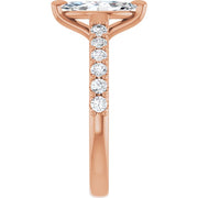 Zephyrelle | Marquise