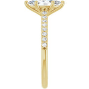 Zeraphine | Marquise