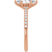 Zeraphine | Marquise