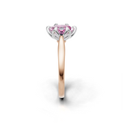tulips1_shank-rose_head-white_center-pink__view-03.png
