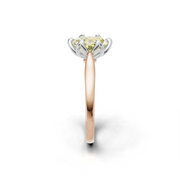 tulips1_shank-rose_head-white_center-yellow__view-03.png