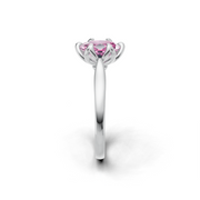 tulips1_shank-white_head-white_center-pink__view-03.png
