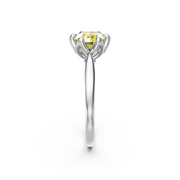 tulips1_shank-white_head-white_center-yellow__view-03.png