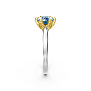 tulips1_shank-white_head-yellow_center-blue__view-03.png