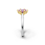 tulips1_shank-white_head-yellow_center-pink__view-03.png