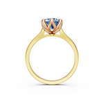 tulips1_shank-yellow_head-rose_center-blue__view-04.png
