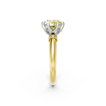 tulips1_shank-yellow_head-white_center-yellow__view-02.png